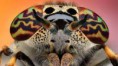 /album/fotogaleria/images-3-jpg/
